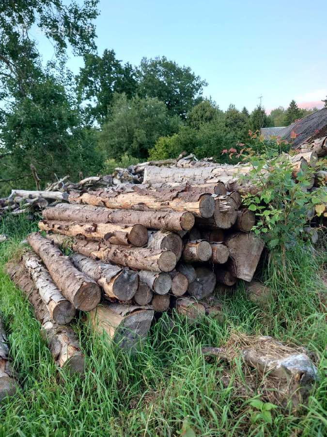 Mediena - nuotraukos Nr. 2