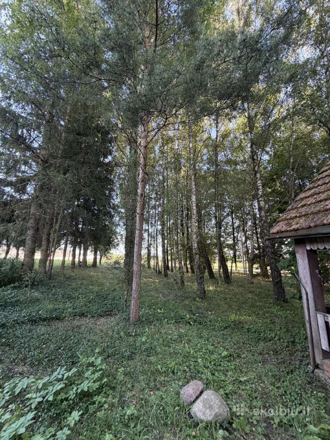 Erdvi sodyba su 2 ha sklypu ir 7 pastatais - nuotraukos Nr. 29