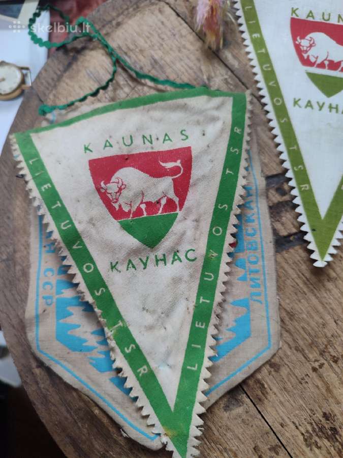 Tarybinės gaireles vimpalai - nuotraukos Nr. 7