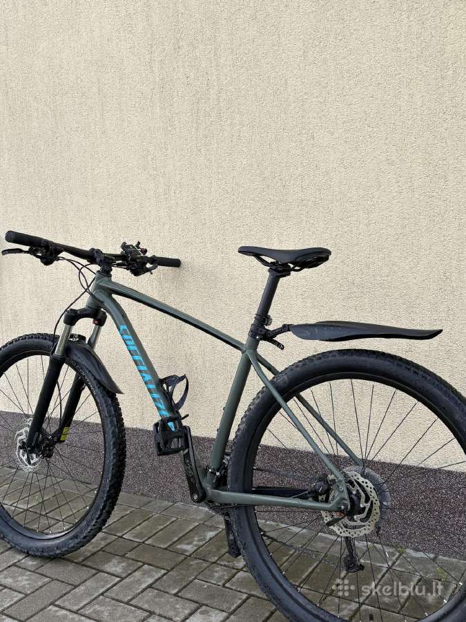 Specialized Rockhopper MTB dviratis - nuotraukos Nr. 3