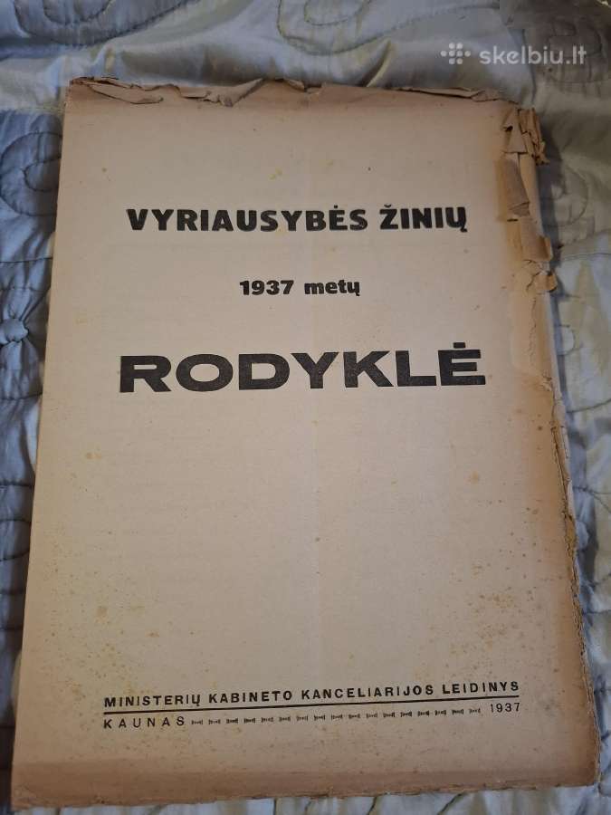 Vyriausybės žinios - nuotraukos Nr. 29