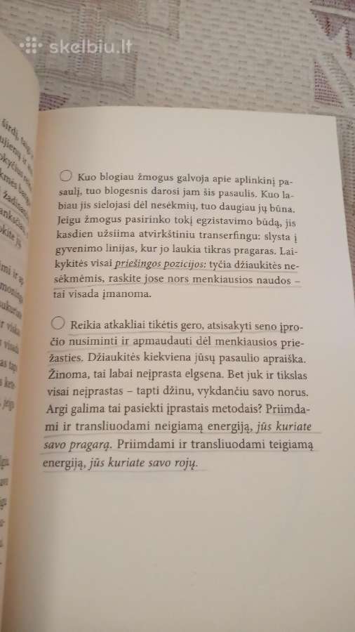 Transerfingo pagrindai - nuotraukos Nr. 4