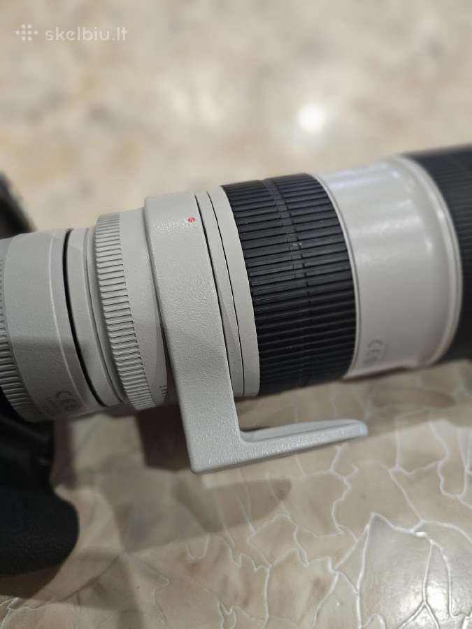 Canon EOS-1D X su linze Canon 70-200 ultrasonic - nuotraukos Nr. 2