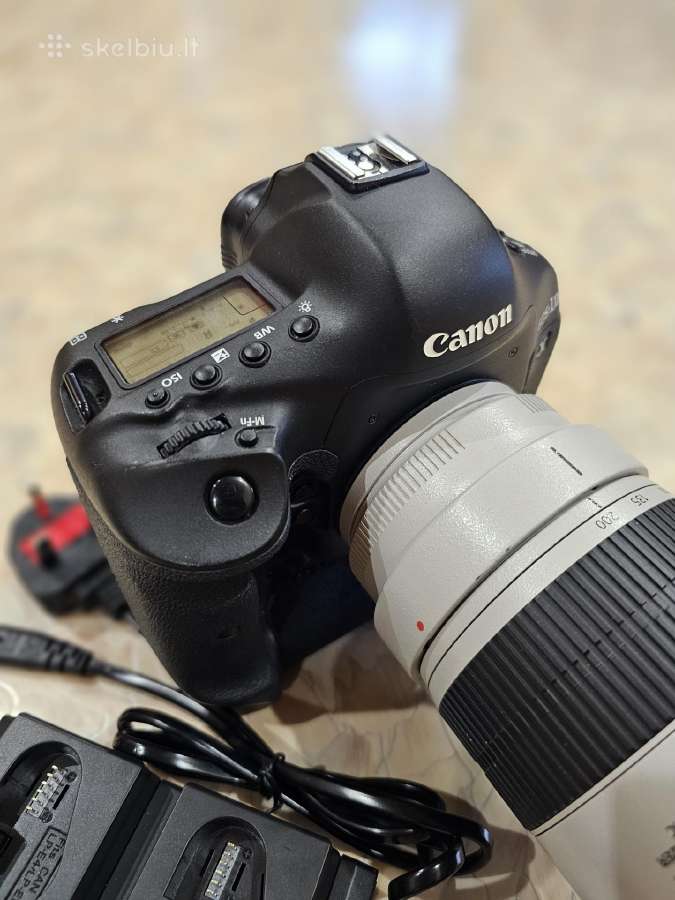 Canon EOS-1D X su linze Canon 70-200 ultrasonic - nuotraukos Nr. 6