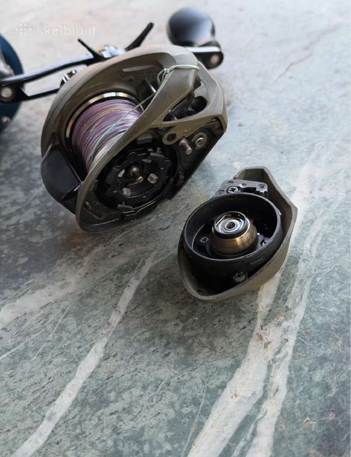 Abu Garcia 5601 ir Savage Gear 8 250bc - nuotraukos Nr. 8