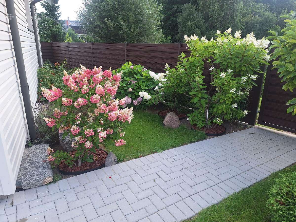 Jaukus sodo namas ant tvenkinio kranto - nuotraukos Nr. 9