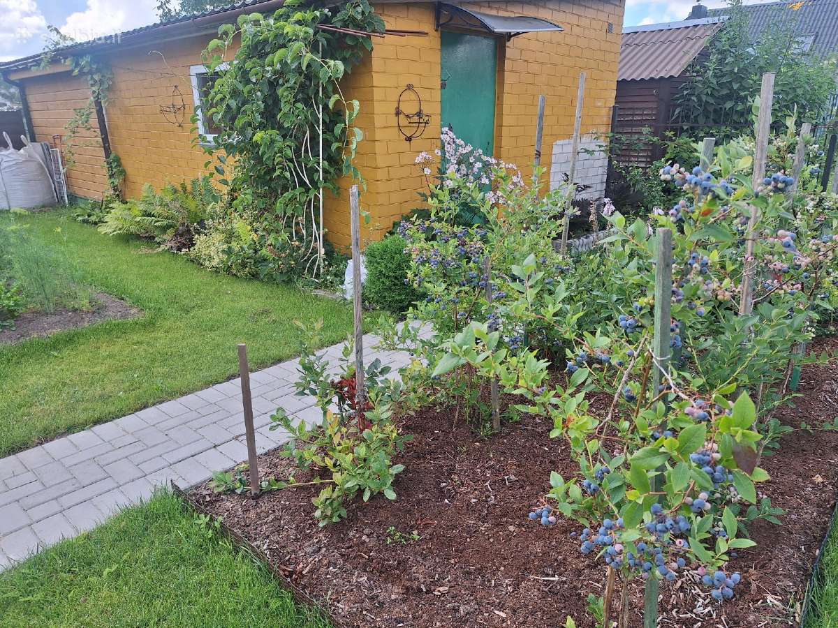 Jaukus sodo namas ant tvenkinio kranto - nuotraukos Nr. 12