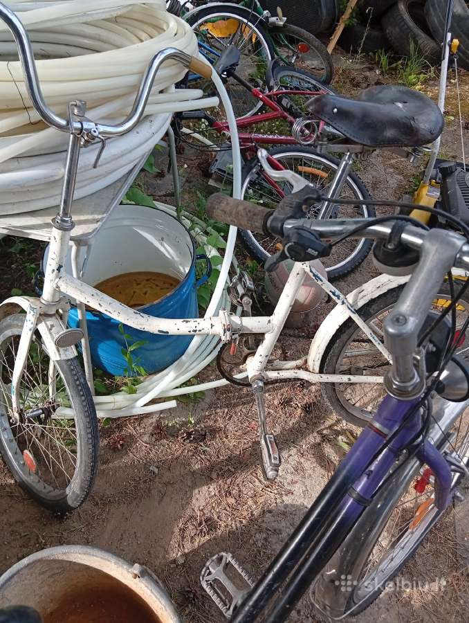 Dviracei ir sulangstomi po 10 eyru - nuotraukos Nr. 16