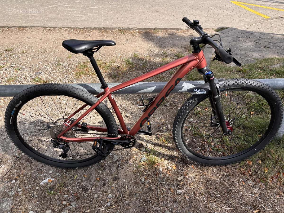 Orbea Onna M - nuotraukos Nr. 2