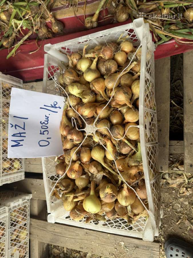 Svogunai Grūdai Avižos 120€ - nuotraukos Nr. 6
