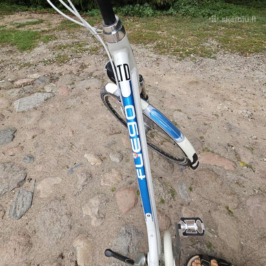 Stilingas moteriškas miesto dviratis Batavus - nuotraukos Nr. 3