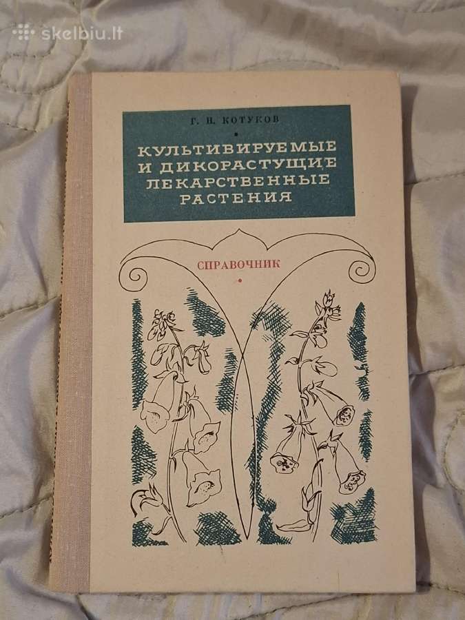 Vaistažolės - nuotraukos Nr. 5
