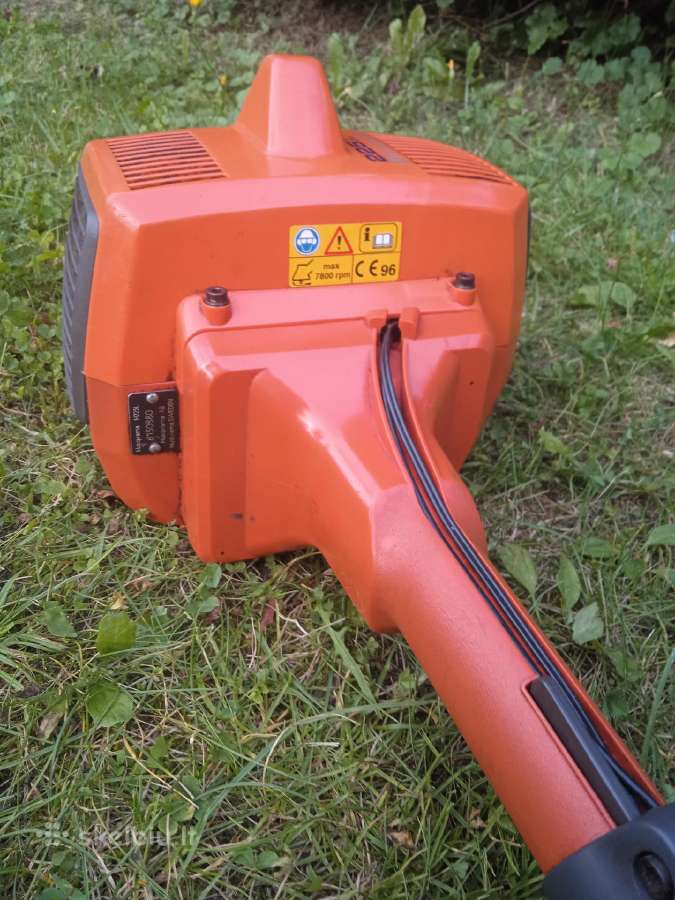 Trimeris husvarna - nuotraukos Nr. 2