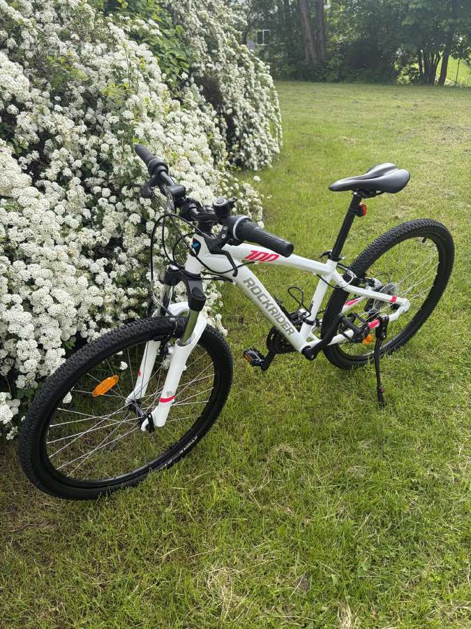 Dviratis Rockrider St 100 - nuotraukos Nr. 3