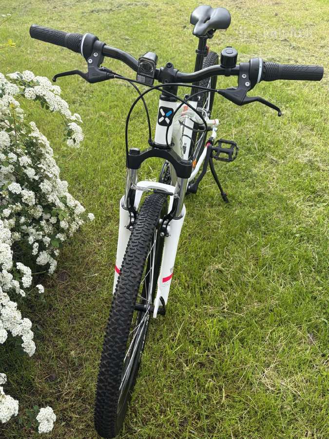 Dviratis Rockrider St 100 - nuotraukos Nr. 4