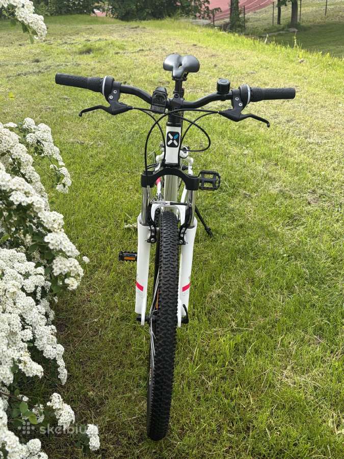 Dviratis Rockrider St 100 - nuotraukos Nr. 6