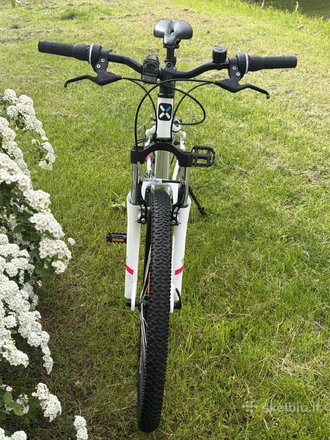 Dviratis Rockrider St 100 - nuotraukos Nr. 7