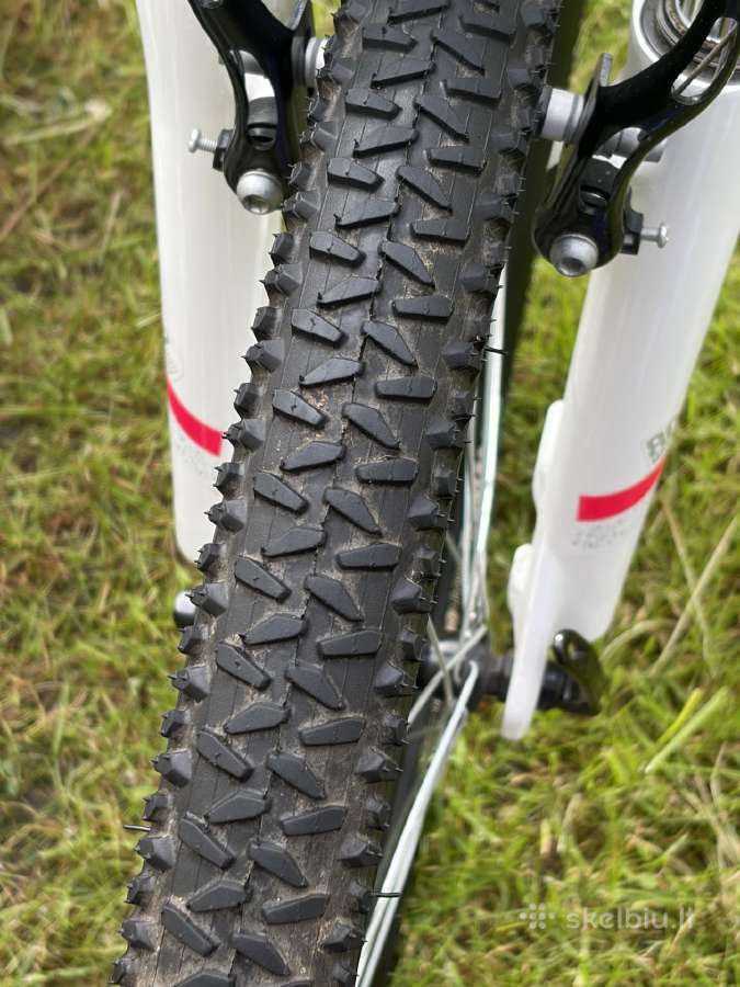 Dviratis Rockrider St 100 - nuotraukos Nr. 9