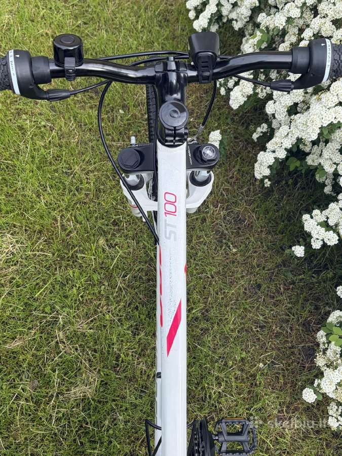 Dviratis Rockrider St 100 - nuotraukos Nr. 23