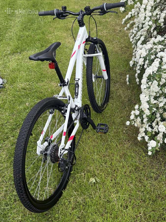 Dviratis Rockrider St 100 - nuotraukos Nr. 27