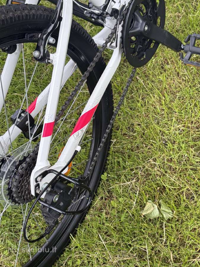 Dviratis Rockrider St 100 - nuotraukos Nr. 29