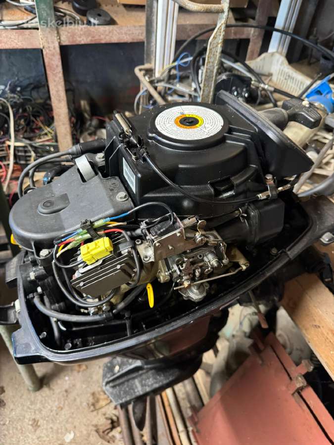 Mercury 10 Fourstroke Bigfoot - nuotraukos Nr. 3