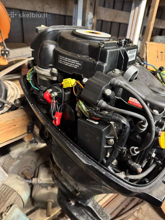 Mercury 10 Fourstroke Bigfoot - nuotraukos Nr. 4