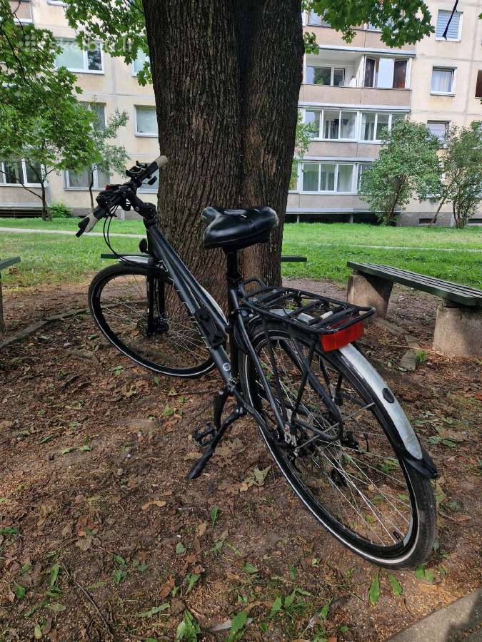 Raleigh Sport XT (M dydis) - nuotraukos Nr. 2