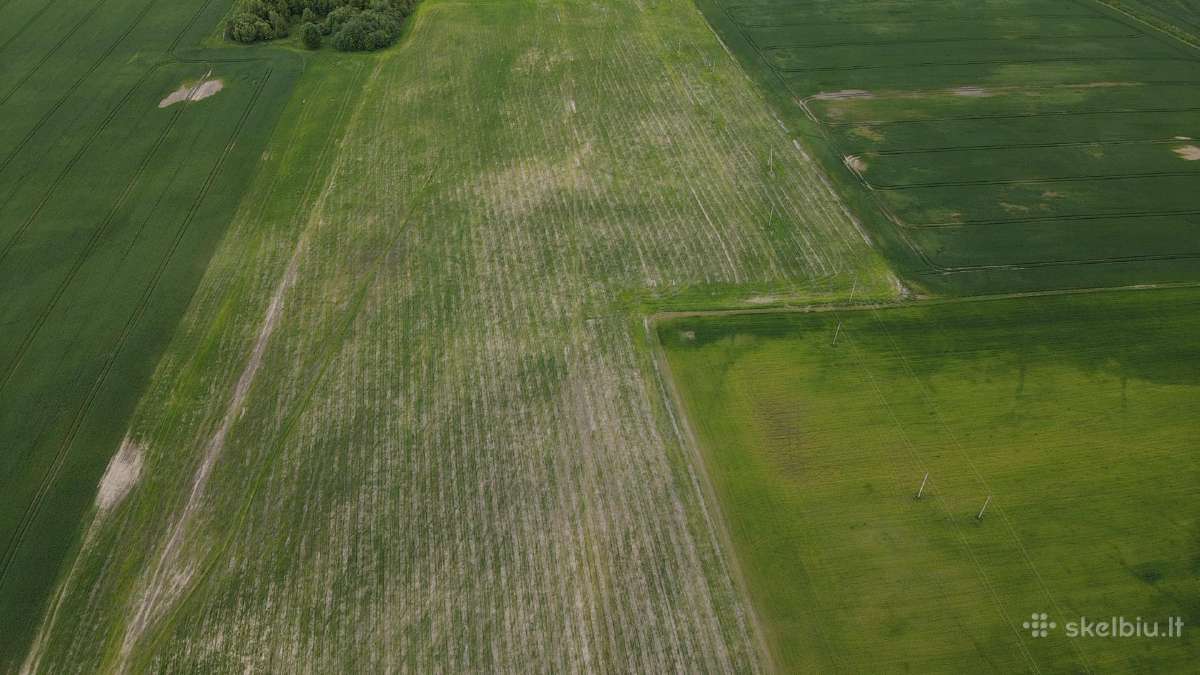 Perkame Žemės Sklypus Beveik Visoje Lietuvoje - nuotraukos Nr. 3