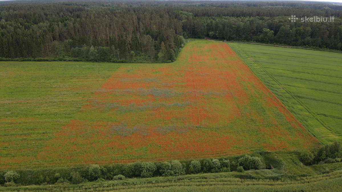 Bendrovė Perka Žemės Sklypus Beveik Visoje Lietuvo - nuotraukos Nr. 6