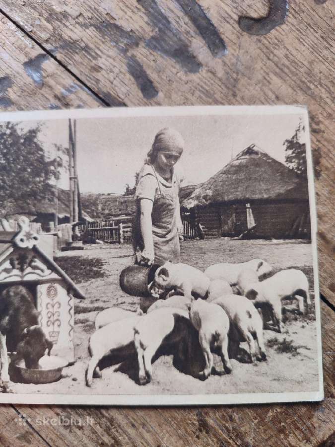 Tarpukario atvirukas - nuotraukos Nr. 4