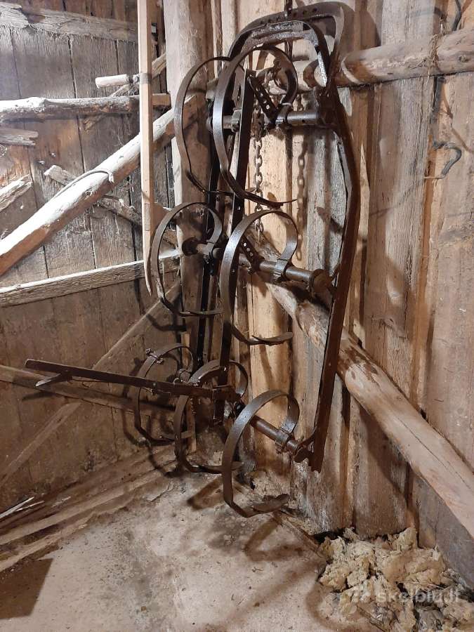 Pardiodu arklinį plugą,kultivatorių,ratus - nuotraukos Nr. 3