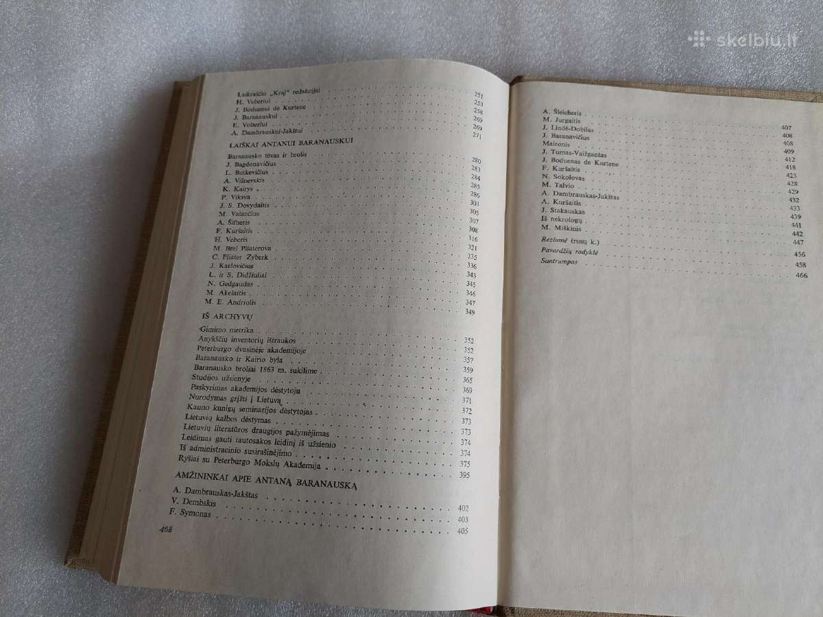 Literatūra ir kalba XIX. Antanas Baranauskas - nuotraukos Nr. 4