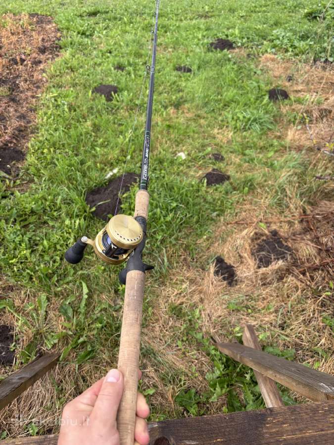 G Loomis Imx Pro Swbr su Shimano Calcutta 301 Xg - nuotraukos Nr. 4
