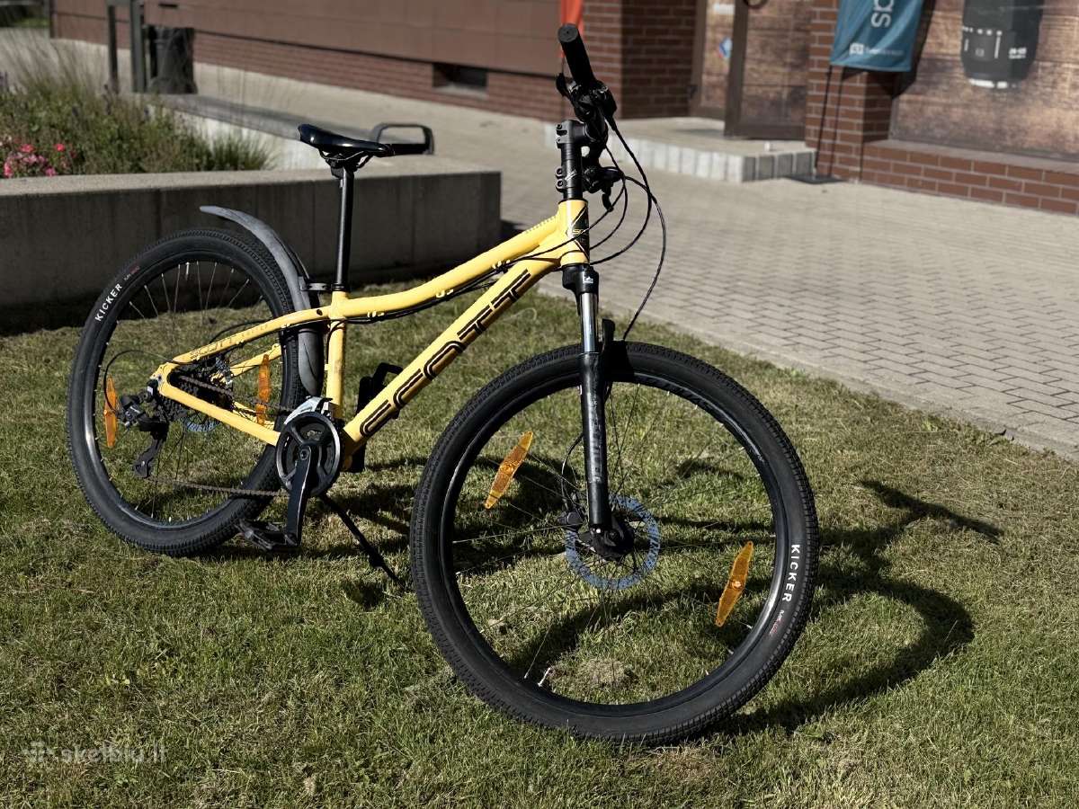 Scott Roxter 26 Disc Bike, Yellow - nuotraukos Nr. 2
