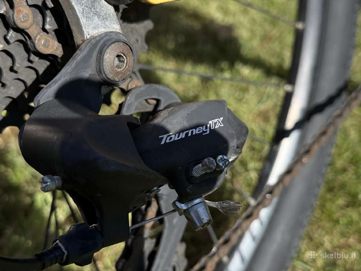 Scott Roxter 26 Disc Bike, Yellow - nuotraukos Nr. 4
