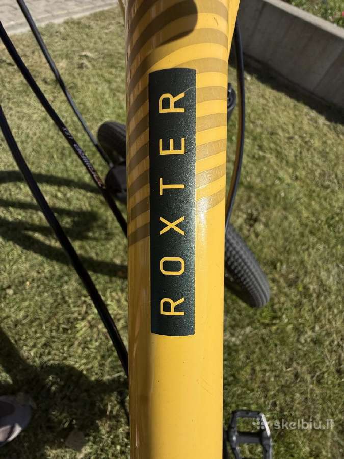 Scott Roxter 26 Disc Bike, Yellow - nuotraukos Nr. 7
