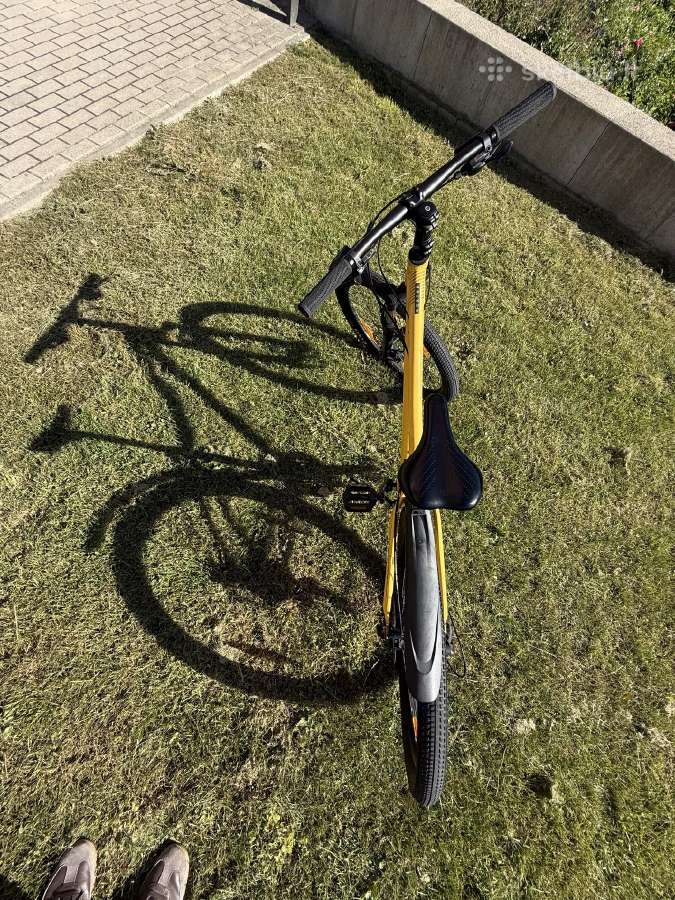 Scott Roxter 26 Disc Bike, Yellow - nuotraukos Nr. 8