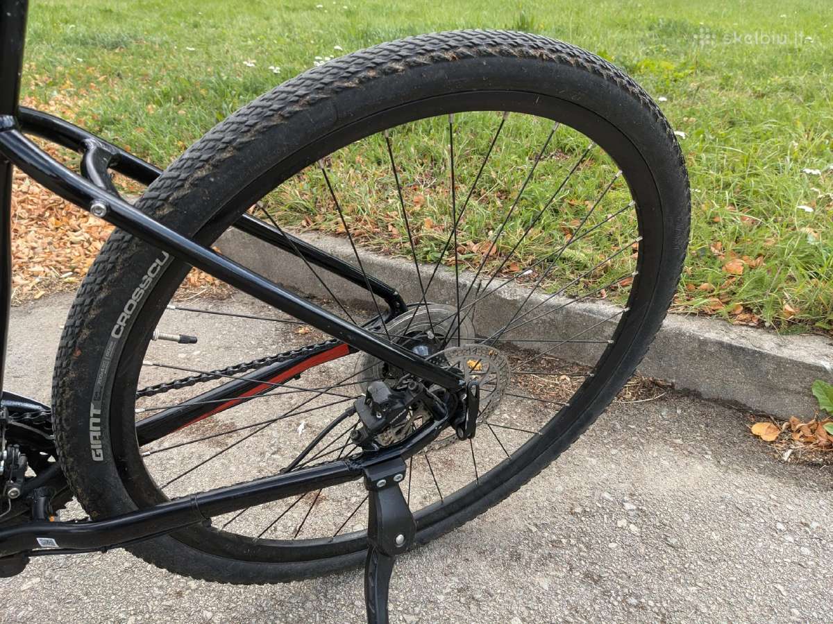 Giant Roam 4 Disc - nuotraukos Nr. 8