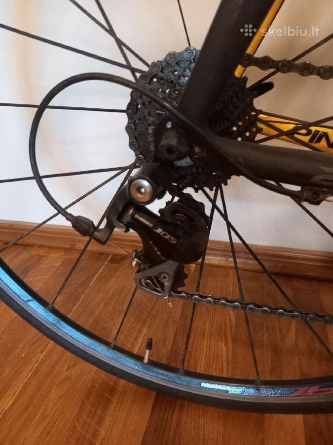 Plento sportinis dviratis Pinarello - nuotraukos Nr. 4