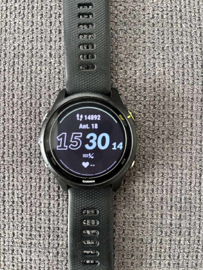 Garmin Forerunner 255 Music - nuotraukos Nr. 3