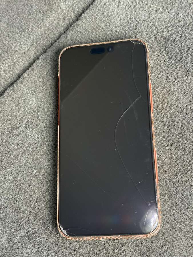 iPhone 17 Pro Max 256 GB - nuotraukos Nr. 3