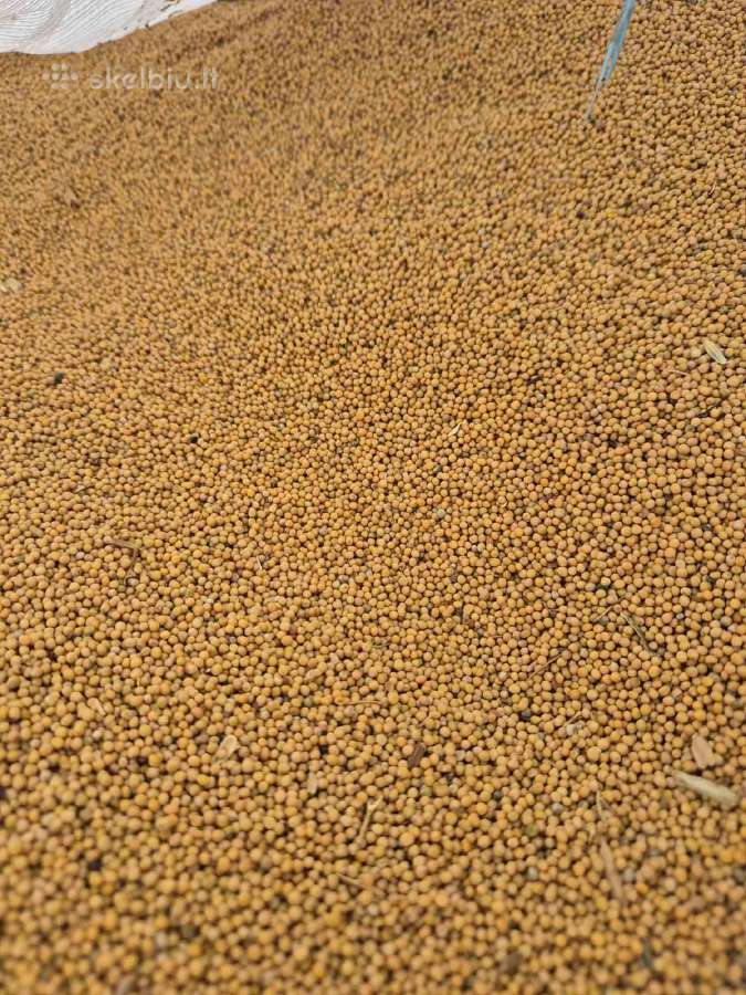 Garstycios 1000e/t big bag arba 25kg - nuotraukos Nr. 2