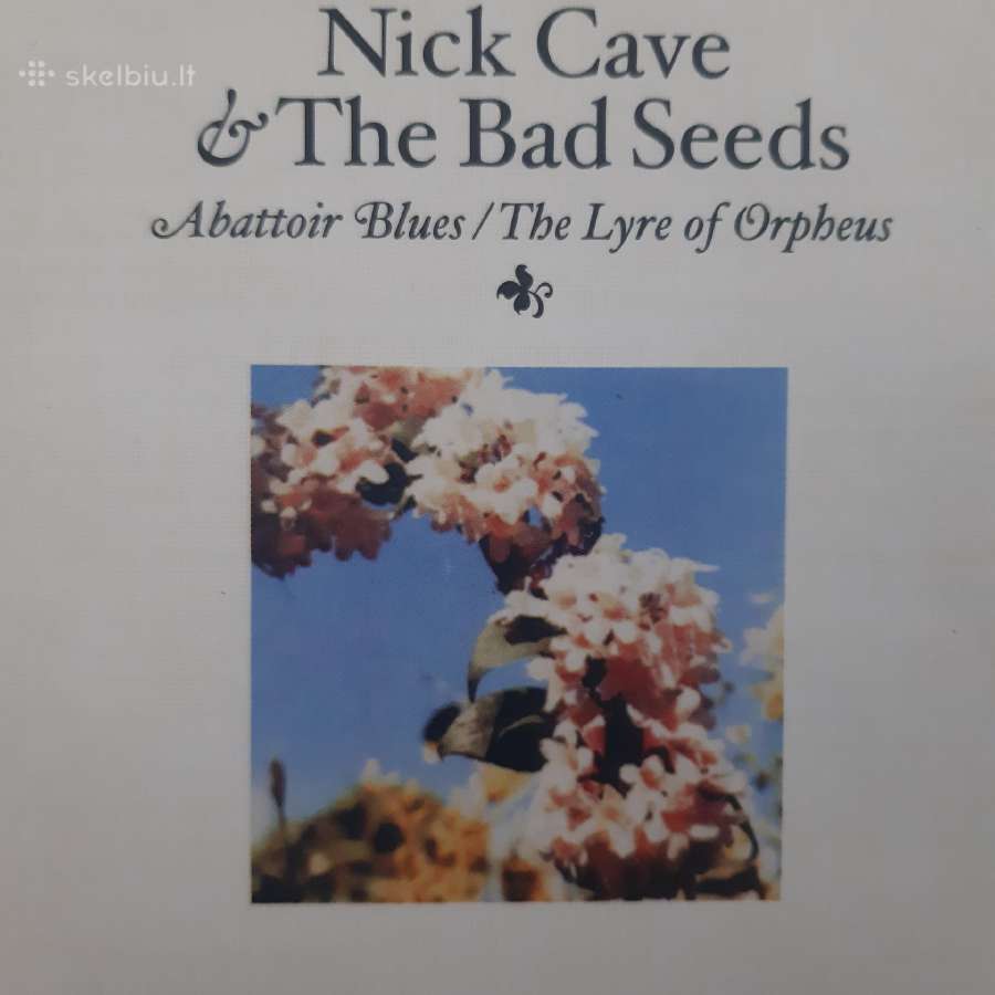 Nick Cave - nuotraukos Nr. 5