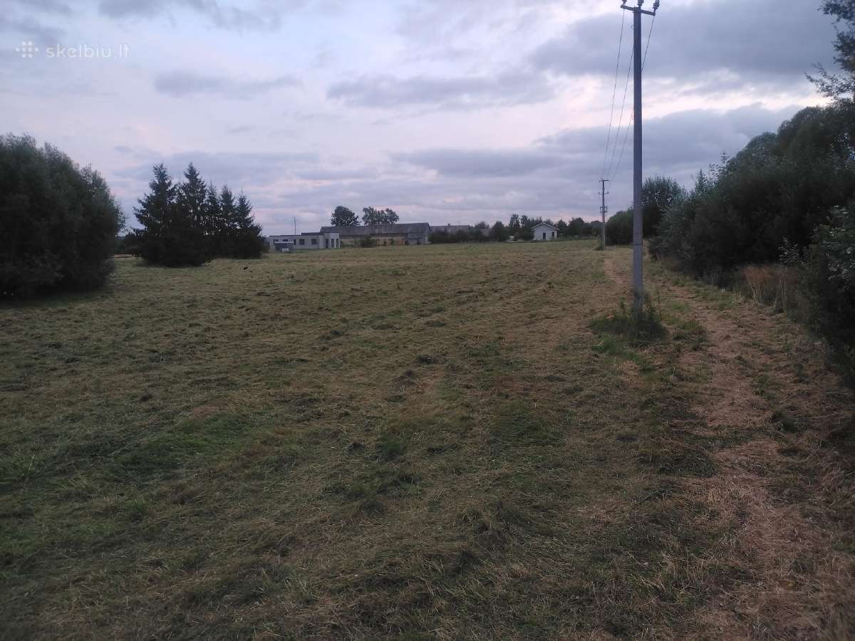Žolės pjovimas Šiauliuose, Šiaulių raj. - nuotraukos Nr. 30