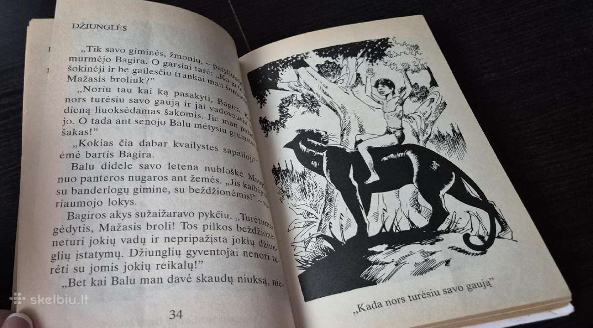 Iliustruota Didžioji Klasika knygų kolekcija - nuotraukos Nr. 23