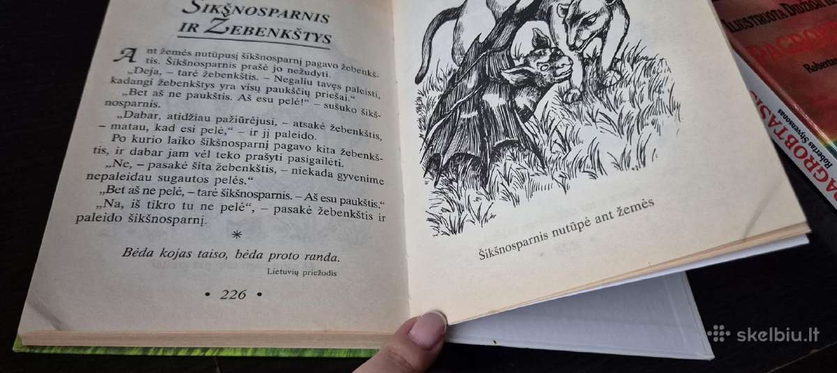 Iliustruota Didžioji Klasika knygų kolekcija - nuotraukos Nr. 26