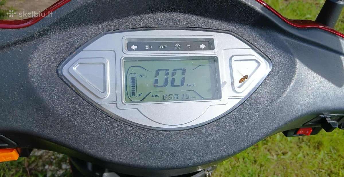 Elektrinis triratis motoroleris Vigorous, 1000w - nuotraukos Nr. 10