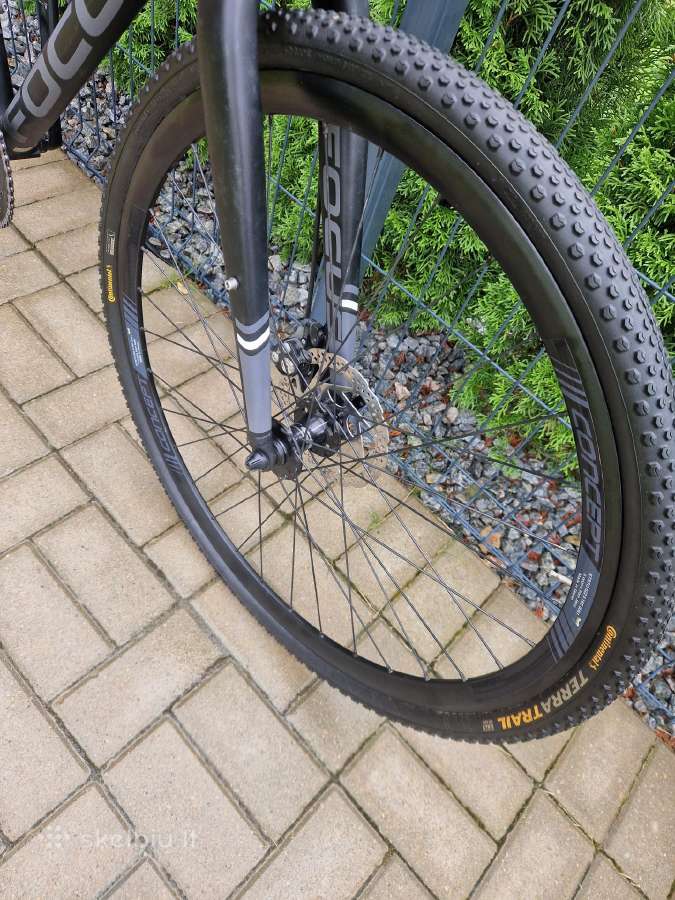 Focus gravel dviratis L dydis - nuotraukos Nr. 5