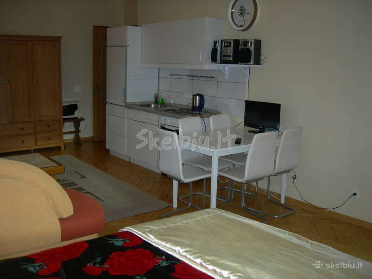 8609 81822 Jaukus ir šiltas butas Žaliakalnyje - nuotraukos Nr. 7